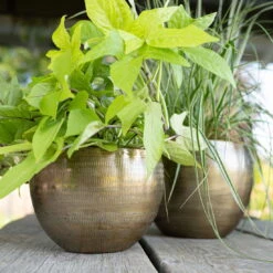 Pflanzgefäß 'Rowen', Gold, Ø 22 X H 17 Cm -Madison Verkäufe 3210801609 Pflanzgefaess Rowen gold D 22 x H 17 cm 1 114969