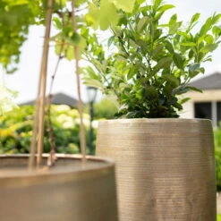 Pflanzgefäß 'Rowen', Gold, Ø 47 X H 82 Cm 16 Pflanzgefäß 'Rowen', Gold, Ø 47 X H 82 Cm -Madison Verkäufe 3210801630 3210801631 3210801632 3210801633 Pflanzgefaess Rowen gold 2 115015