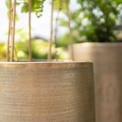 Pflanzgefäß 'Rowen', Gold, Ø 47 X H 82 Cm 15 Pflanzgefäß 'Rowen', Gold, Ø 47 X H 82 Cm -Madison Verkäufe 3210801630 3210801631 3210801632 3210801633 Pflanzgefaess Rowen gold 3 115016