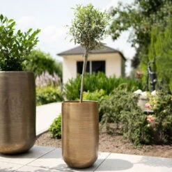 Pflanzgefäß 'Rowen', Gold, Ø 47 X H 82 Cm 14 Pflanzgefäß 'Rowen', Gold, Ø 47 X H 82 Cm -Madison Verkäufe 3210801630 3210801631 3210801632 3210801633 Pflanzgefaess Rowen gold 4 115017