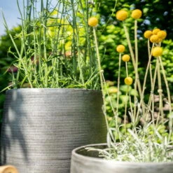 Pflanzgefäß 'Rowen', Silber, Ø 47 X H 82 Cm -Madison Verkäufe 3210801635 3210801636 3210801637 3210801638 Pflanzgefaess Rowen silber 12 115029 1