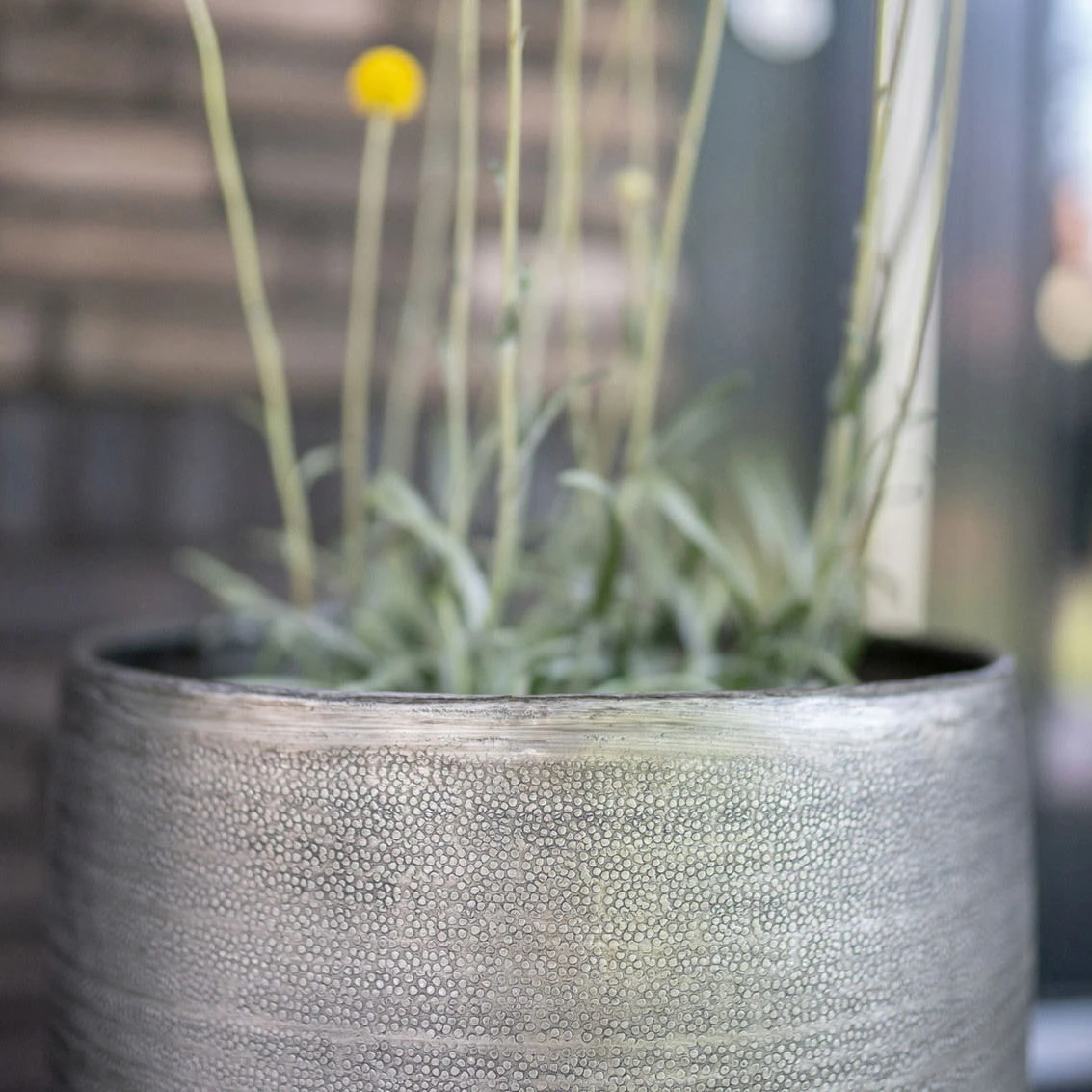 Pflanzgefäß 'Rowen', Silber, Ø 41 X H 72 Cm 9 Pflanzgefäß 'Rowen', Silber, Ø 41 X H 72 Cm – Bild 7