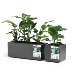 Pflanzkasten 'Kebe', Anthrazit, 35 Liter, 39,5 X 39,5 X 39,5 Cm 5 Pflanzkasten 'Kebe', Anthrazit, 35 Liter, 39,5 X 39,5 X 39,5 Cm -Madison Verkäufe 3230101146 3230101148 Kebe anthrazit 109322 1