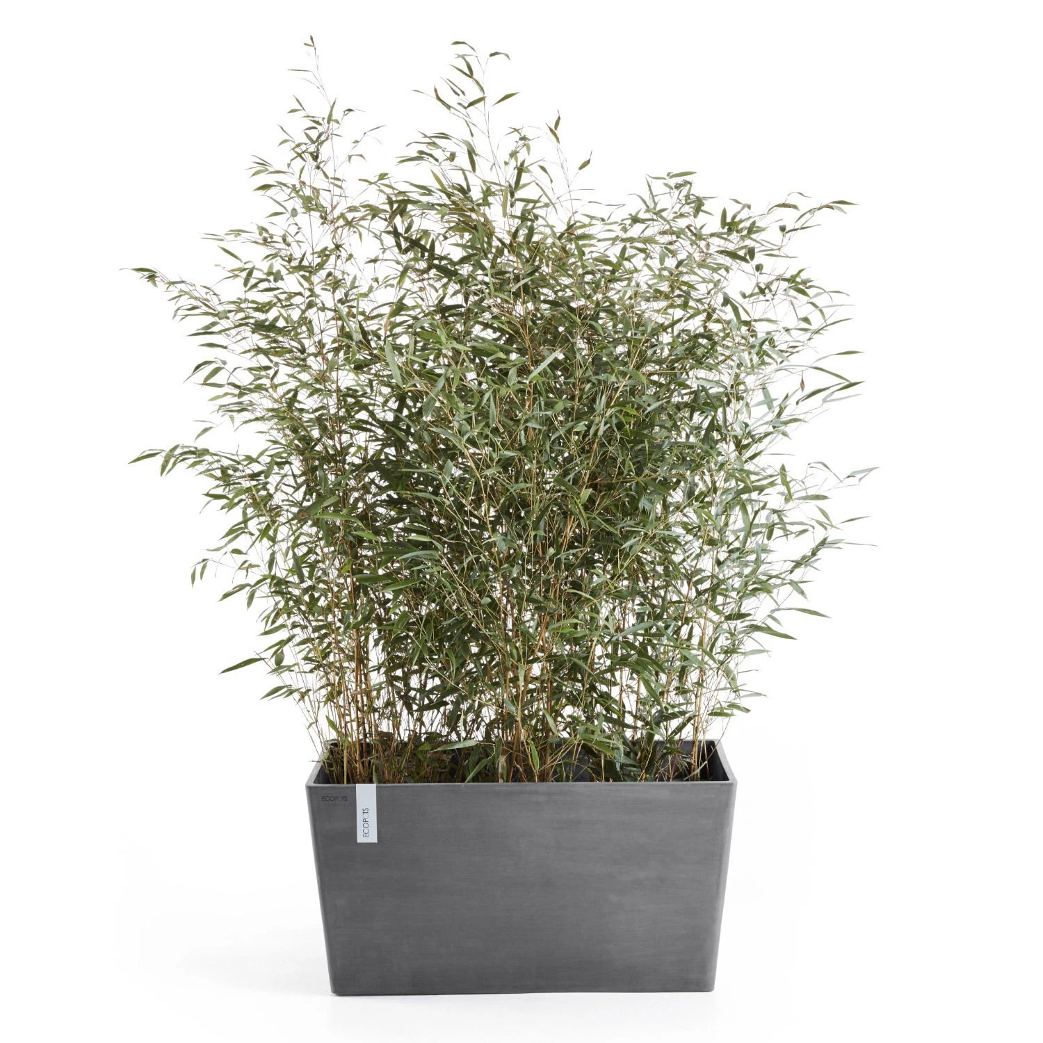 Pflanzkasten 'Paris', Grau 4 Pflanzkasten 'Paris', Grau – Bild 2