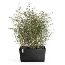 Pflanzkasten 'Paris', Dunkelgrau, L 60 X B 26 X H 40 Cm -Madison Verkäufe 3230101239 pflanzkasten paris 2 117486