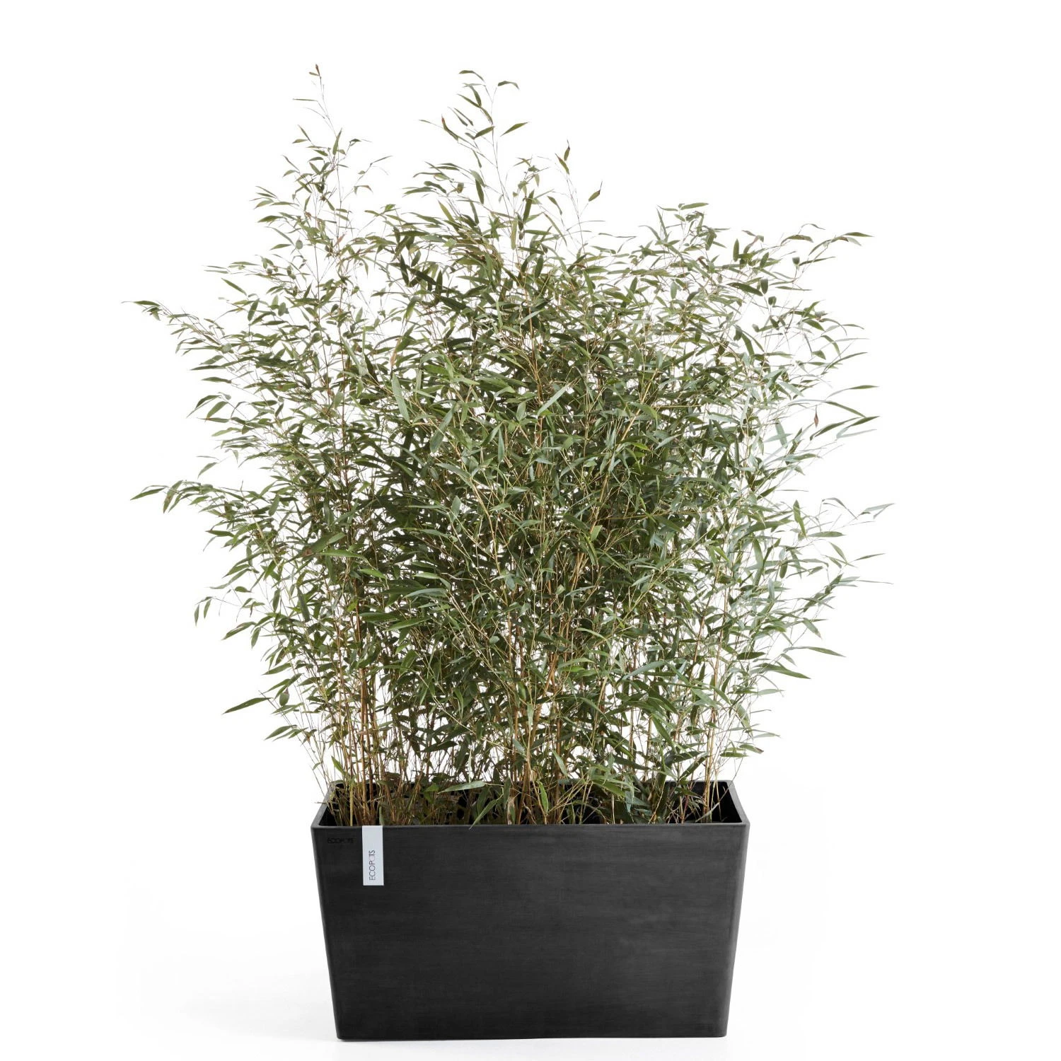 Pflanzkasten 'Paris', Dunkelgrau 4 Pflanzkasten 'Paris', Dunkelgrau – Bild 2