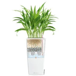 LECHUZA Cubico Premium 40, Weiß Hochglanz, All-in-One-Set, 40 X 40, H:75 Cm -Madison Verkäufe 3325100114 CubicoPremium22 weiss All in One Set 22x22x41cm RGB 7573