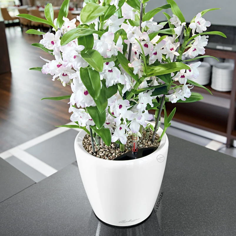 Lechuza Classico Premium 50 LS, Weiß Hochglanz, All-in-One-Set 3 Lechuza Classico Premium 50 LS, Weiß Hochglanz, All-in-One-Set