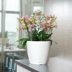 Lechuza Classico Premium 50 LS, Weiß Hochglanz, All-in-One-Set 9 Lechuza Classico Premium 50 LS, Weiß Hochglanz, All-in-One-Set -Madison Verkäufe 3325100222 Classico Premium 28LS wei All in One Set D28xH26cm RGB 7759