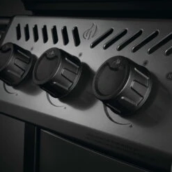 Napoleon Gasgrill 'Freestyle 365', Grau, Edelstahl, Ca. 116 X 64 X 124 Cm 36 Napoleon Gasgrill 'Freestyle 365', Grau, Edelstahl, Ca. 116 X 64 X 124 Cm -Madison Verkäufe 3920200313 Gasgrill Freestyle 365 Graphit mit 3 Hauptbrenner 4 123135