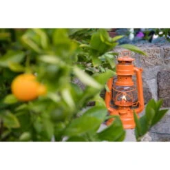 Feuerhand Sturmlaterne 'Baby Special 267', Orange, 26,5 X 13,5 X 15 Cm -Madison Verkäufe 3990100185 feuerhand sturmlaterne 6 121553
