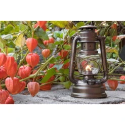 Feuerhand Sturmlaterne 'Baby Special 267', Bronze, 26,5 X 13,5 X 15 Cm 12 Feuerhand Sturmlaterne 'Baby Special 267', Bronze, 26,5 X 13,5 X 15 Cm -Madison Verkäufe 3990100191 feuerhand sturmlaterne 1 1 121596