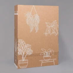 Efeutute 'Marble Queen' Inkl. Übertopf Vibes Weiß, Topf-Ø 12 Cm, Höhe Ca. 15 Cm -Madison Verkäufe B2 02 Karton Sets mit Keramik 1 126161