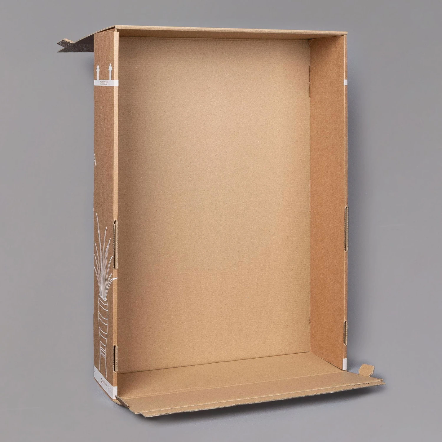 Aglaonema 'Cutlass', Mit Übertopf Dallas Weiß, Topf-Ø 12 Cm 11 Aglaonema 'Cutlass', Mit Übertopf Dallas Weiß, Topf-Ø 12 Cm – Bild 9