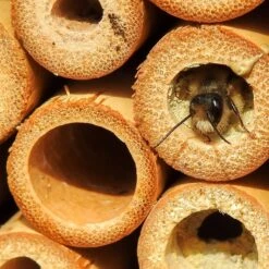 Insektenhotel, Natur, Höhe Ca. 51 X 14 X 38 Cm -Madison Verkäufe insektenhotel biene 117841 1